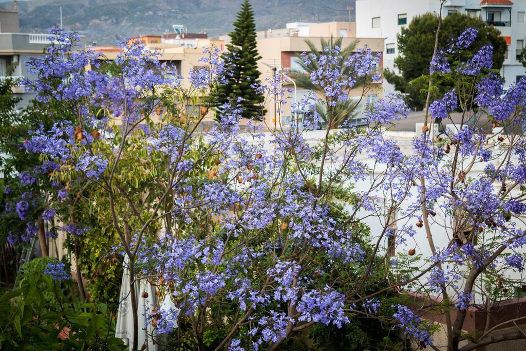 אדרה Hostal Restaurante La Curva מראה חיצוני תמונה